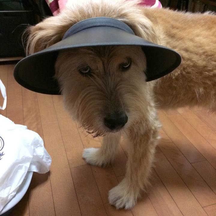 942036e0 f533 47e6 babd 0a8046ae8e5b