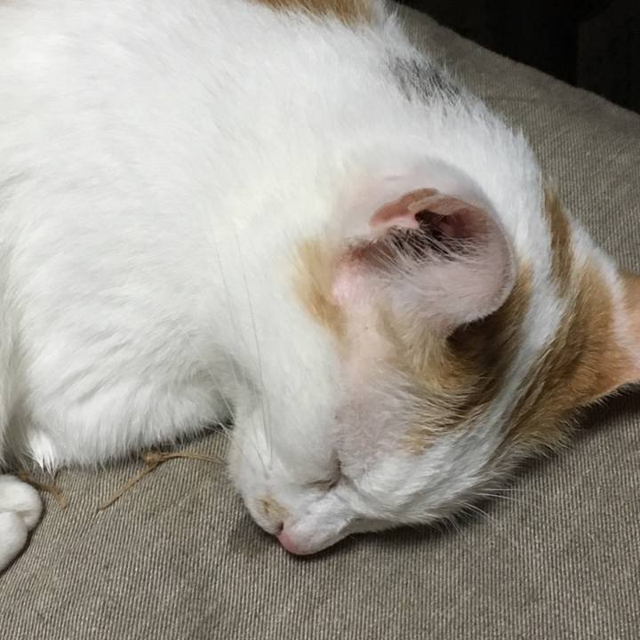 94207902 da5e 4d20 af7e 8bef9a81d9a9