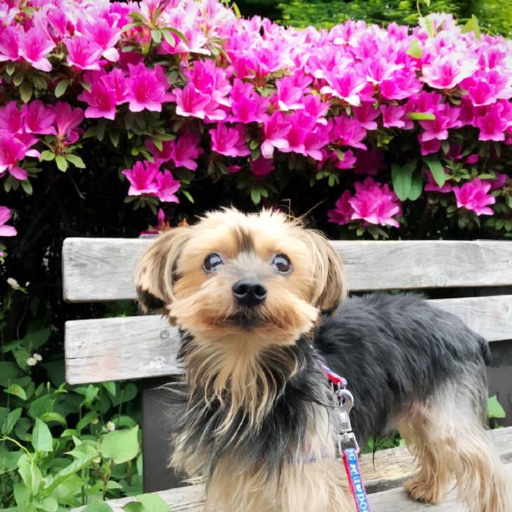 9420a282 5d78 4173 aaaf 2b2b4e2ef3d2