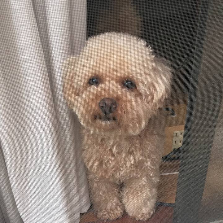 9420c161 1c3c 4175 8a4d 2873274552e0