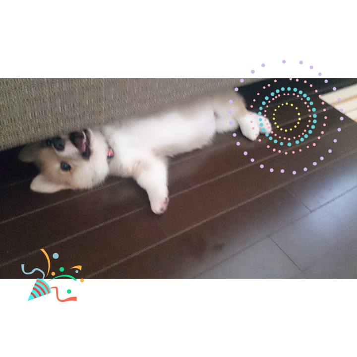 94210708 7fcc 42d2 b2e3 7d464cc04601