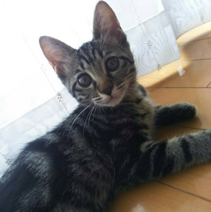 94217dc1 97e1 4226 a3d9 abfe5bc27d66