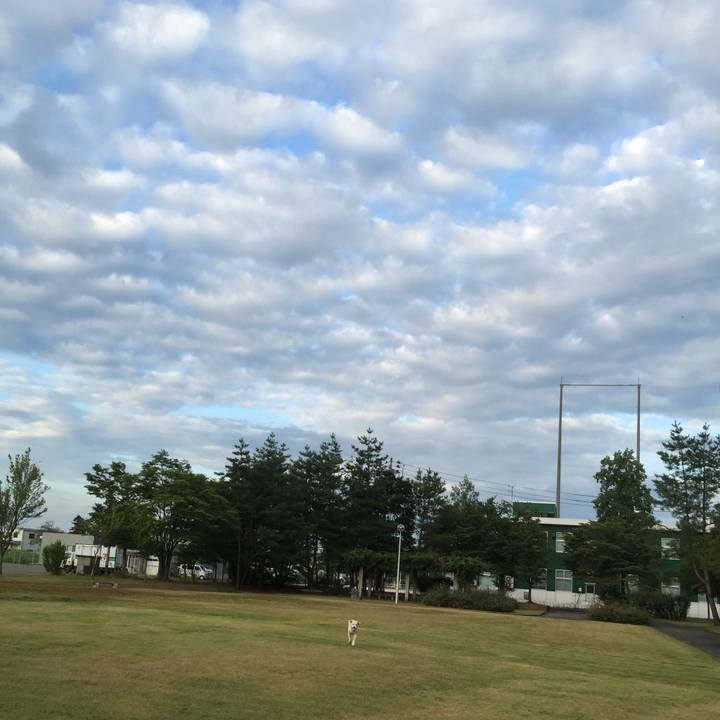 94218e02 b85d 42aa 9e06 b08292204231