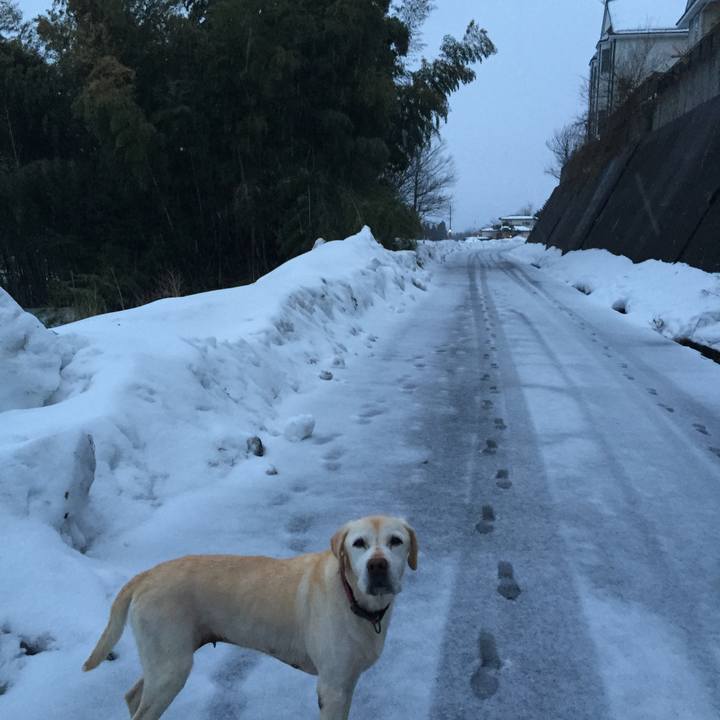 9421da17 9d71 4917 a339 3eb63bac2b9c