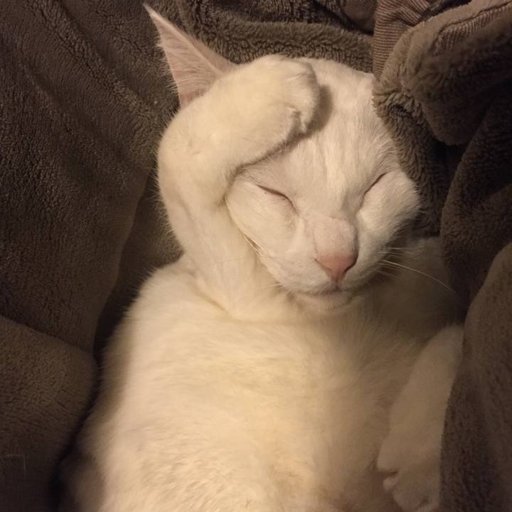 9421e013 904b 4b83 855f 2427d870a945