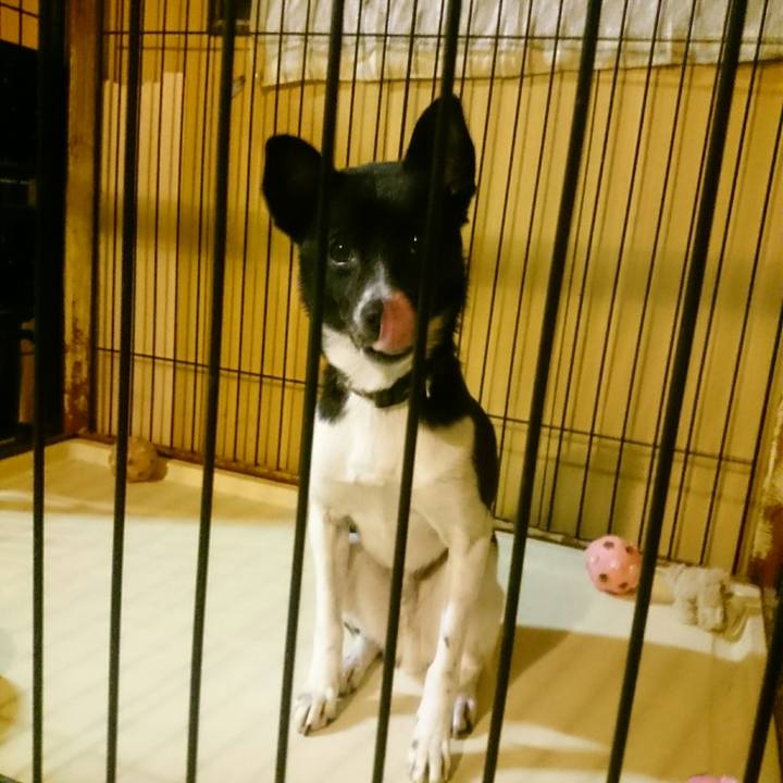 94221a3f 5244 4e59 98f1 7855bb5c6906