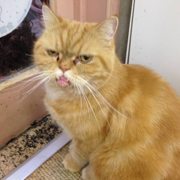 942336bb 2e15 47cc 80db a553f63a7336