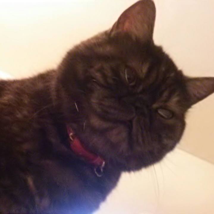 94233b66 6119 4bcf 86fa 23978bbcfc3e