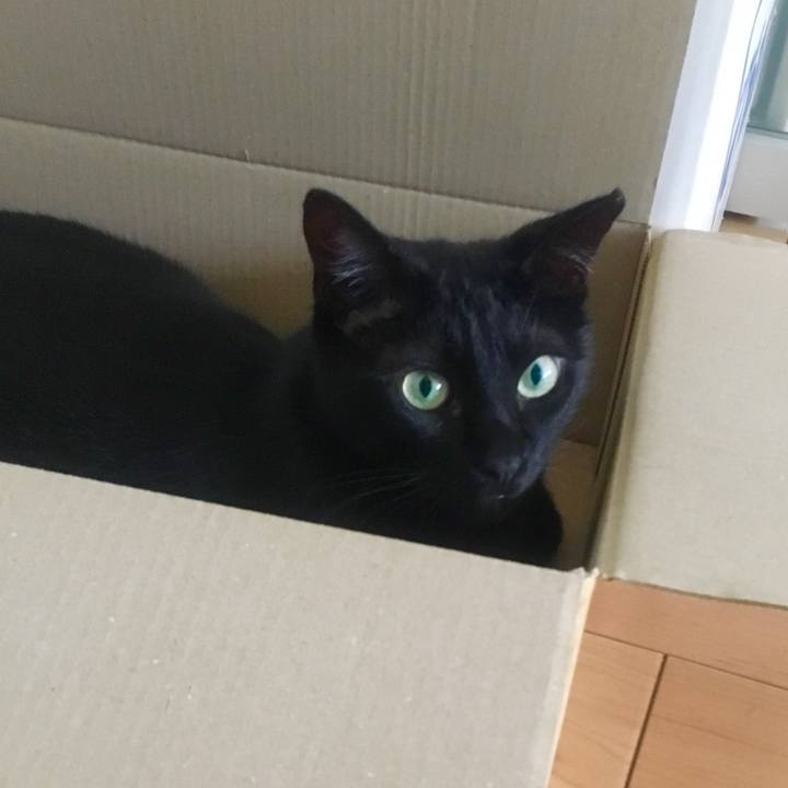 94233c42 575b 4629 8318 967196c15924