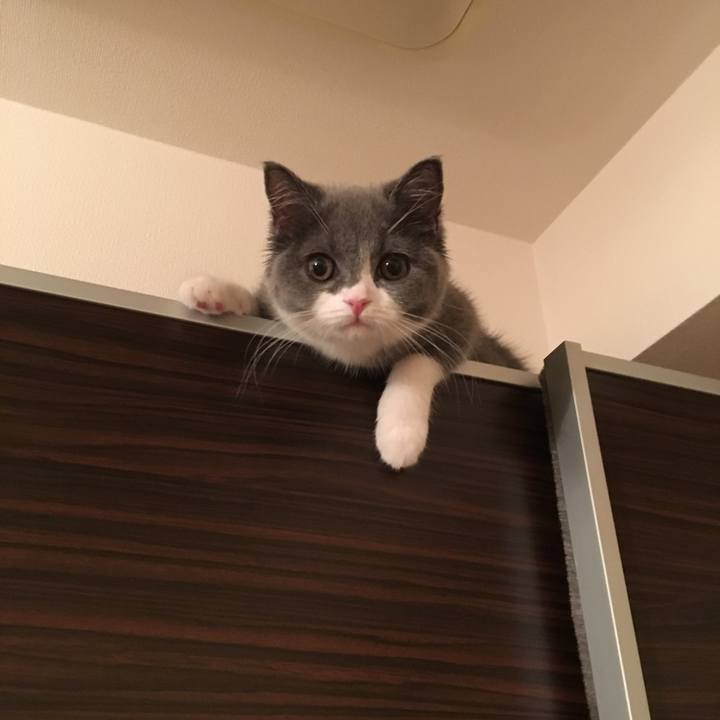 94234ac7 c40e 4609 88f9 2f49ee24854d