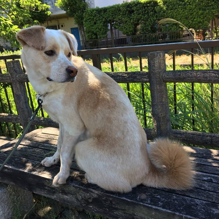 94239d95 b0e1 43aa aa2b 36d3bc55fed8