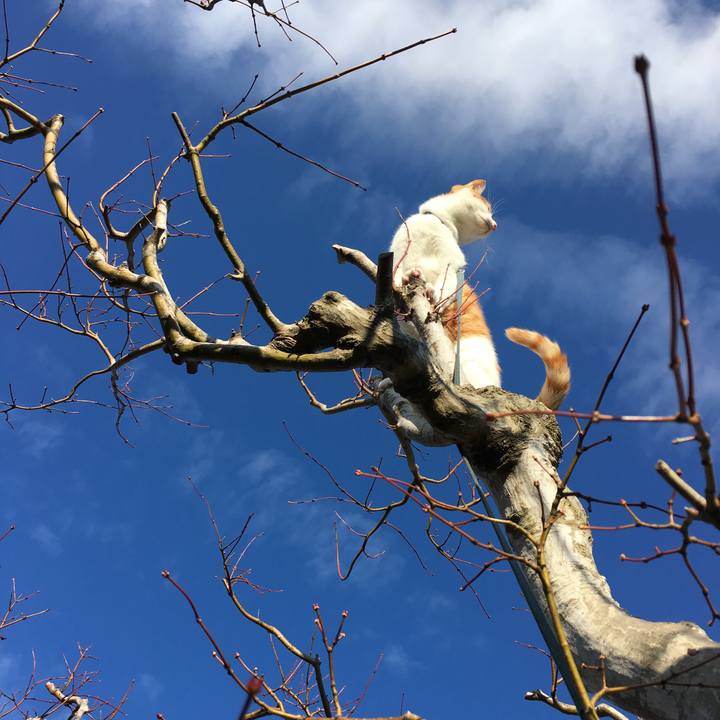 9423d5c9 1233 4fd4 9dcc f72f4b105741