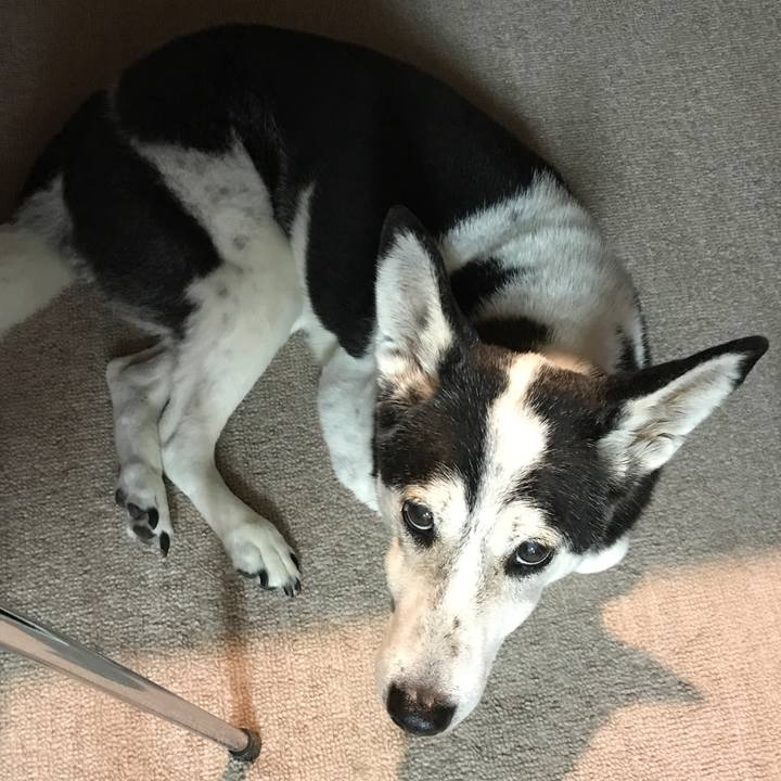 94243e58 9ca6 4a03 aef6 06ac10c8a227