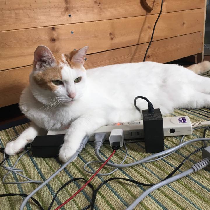 94244433 c29c 44ed ae5d da35e46e1cf9