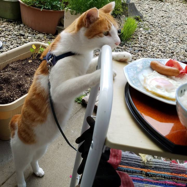 94244bc8 c19f 4644 a515 2b952c598b01