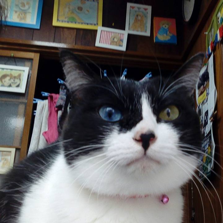 9424883d e6d6 4c1b a126 3be3f67cea15