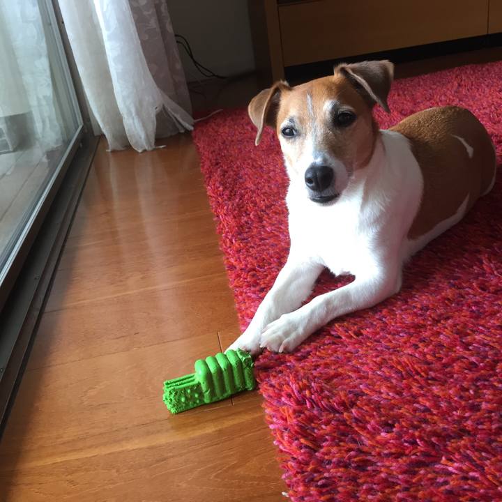 94252d58 585a 4cd7 9c62 c3aeea09a096