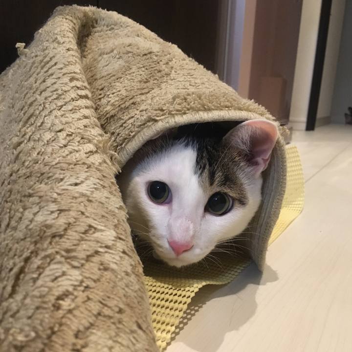 9425a281 3202 459e a8d6 4d1109346bf6