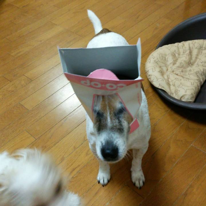 9425ebfa af0d 4f37 b3c1 9cb2646647aa