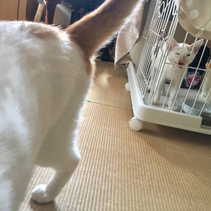 94262e92 aff7 4df8 81f6 602eacf149f2