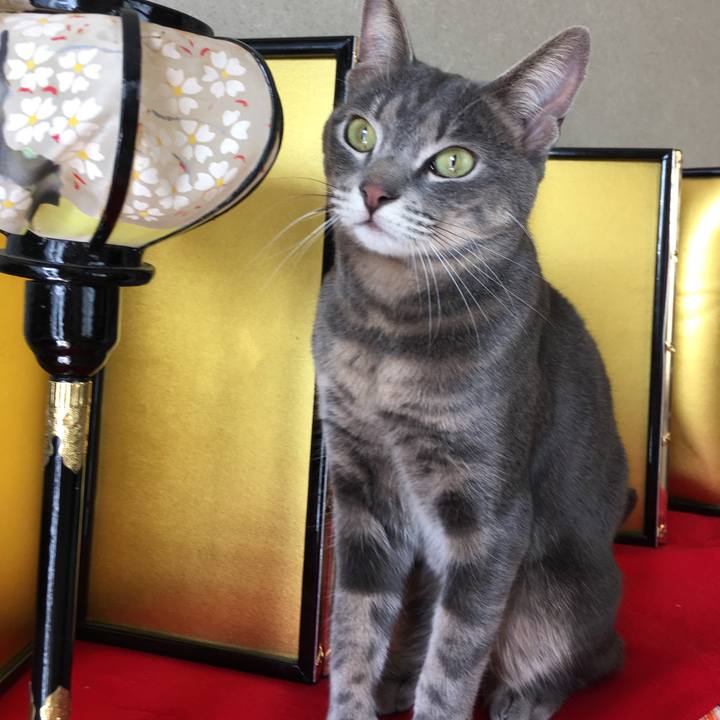 942639b3 d1db 4b63 8b7c 01f668c35ed5