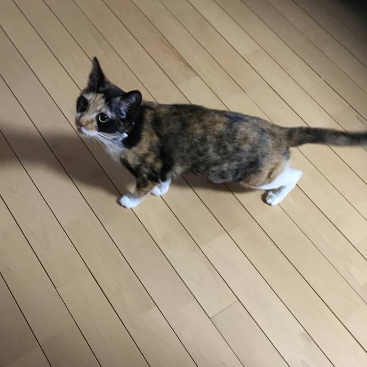 942674be e80b 4aaf 9ab7 fe6d4c60168b