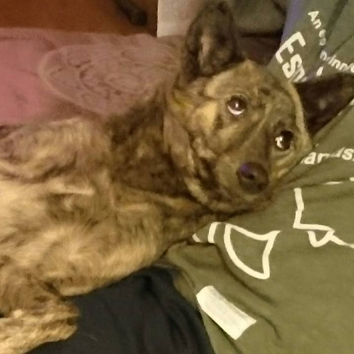 9426c692 00f4 4261 b31b a36c6eeb3899