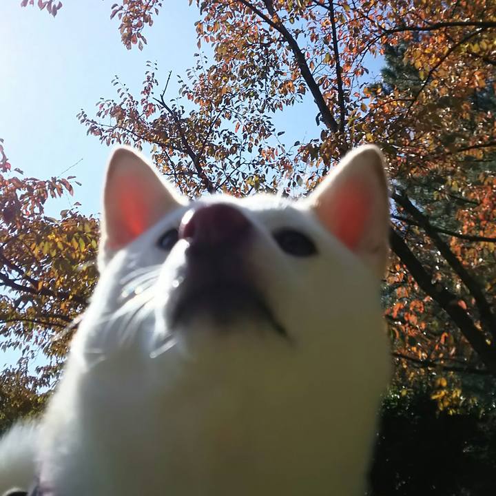 94279998 2eae 418f a862 ade8520d2371