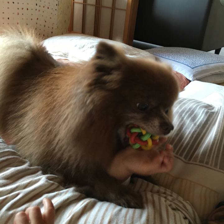 9427ad11 79dc 4919 9d05 905475d0efe3