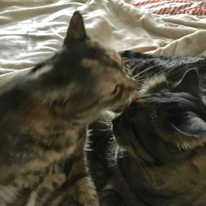 9427bb5d c5ec 4af0 8ebe 981b11ae21ee