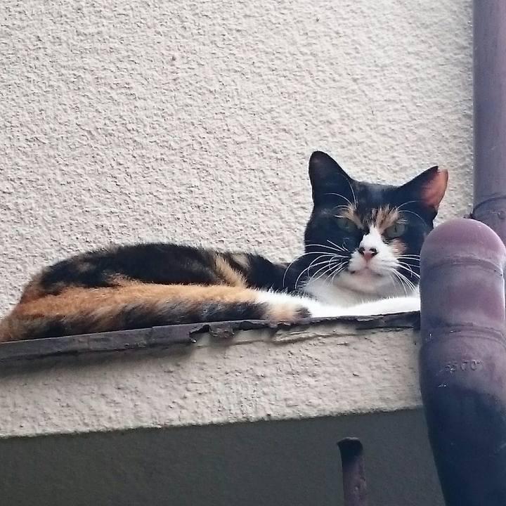 942850a4 e6f5 47f8 99f2 6537bff62686