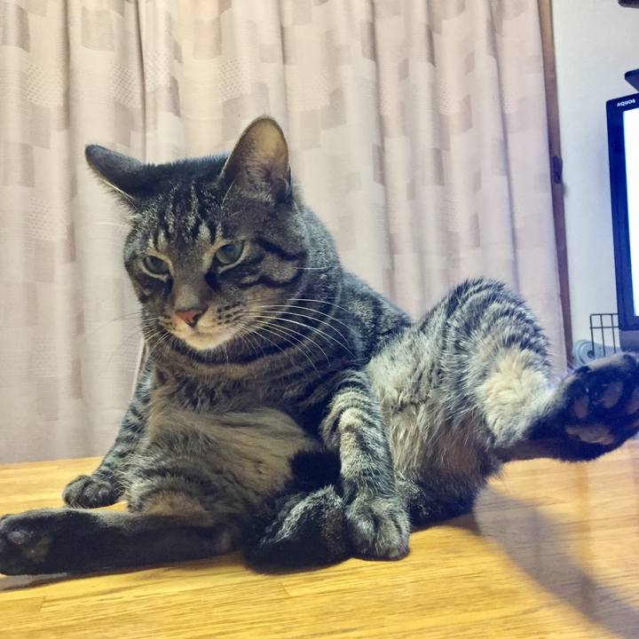 9428cddf e8e8 49a7 8563 af419d1c86de