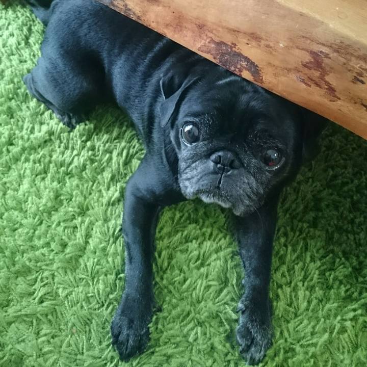 9428cf33 9ebc 465a 8d8c a38cc4f7e360