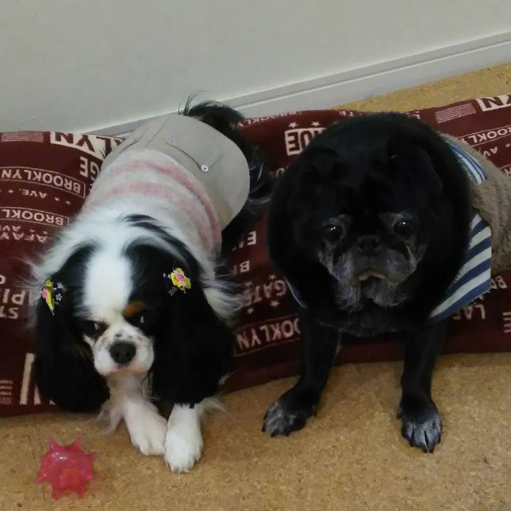 9428f1f0 e637 4364 a8d2 dc4b5fd4797b