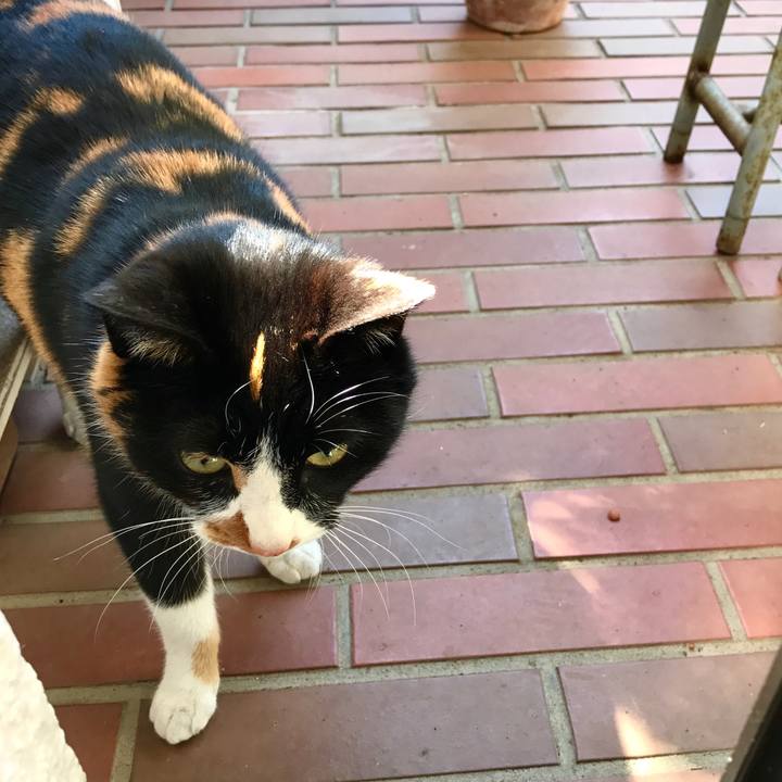 9429115b 10c0 4c1d 8eed b65774abd934