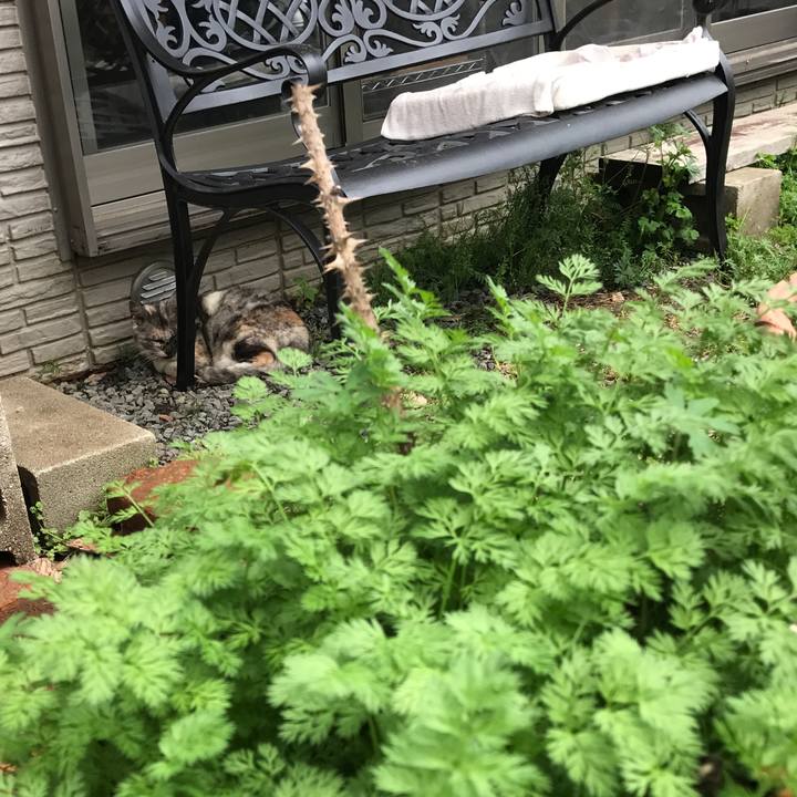 94298828 ad69 4bcf b483 8b9932fc6a7c