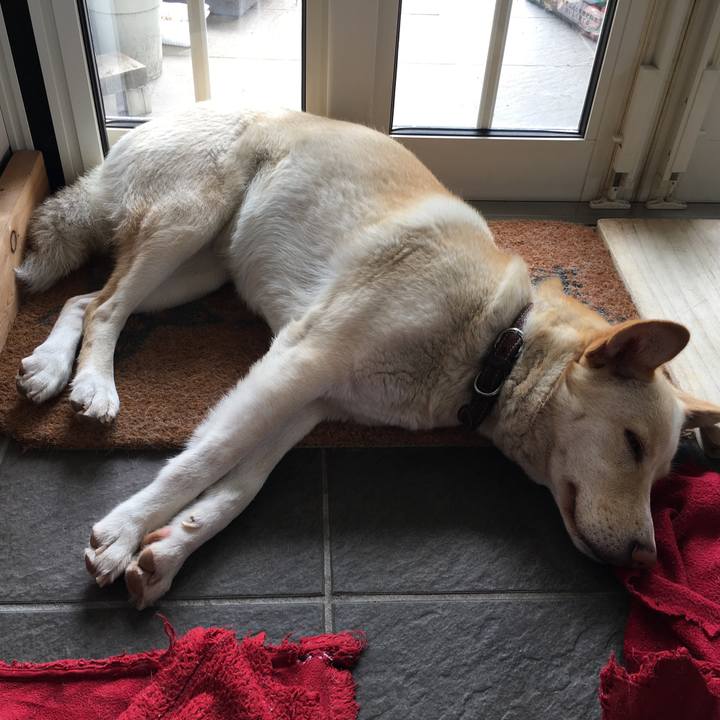 9429ea56 aef6 4d1a a453 c6a39100cbed