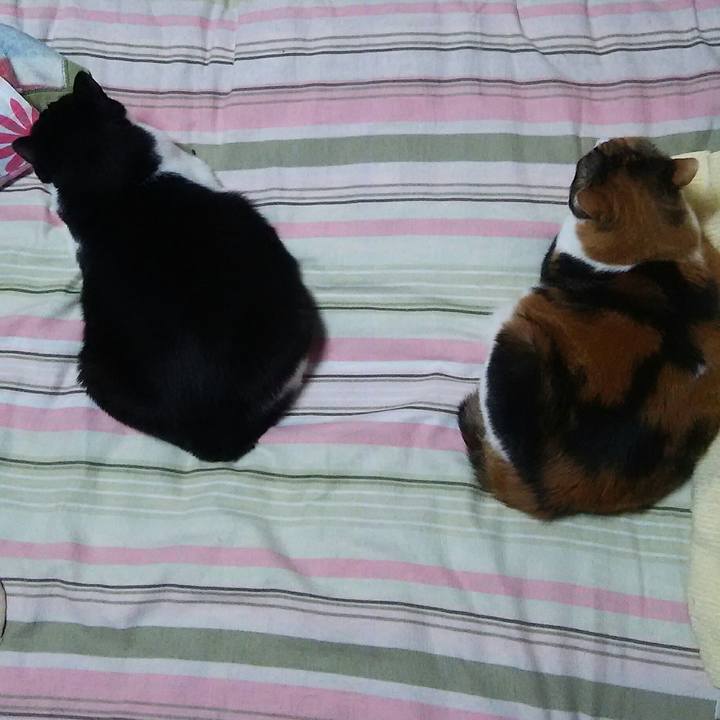 942a83af 424a 4582 9017 cf46d89bbdc1