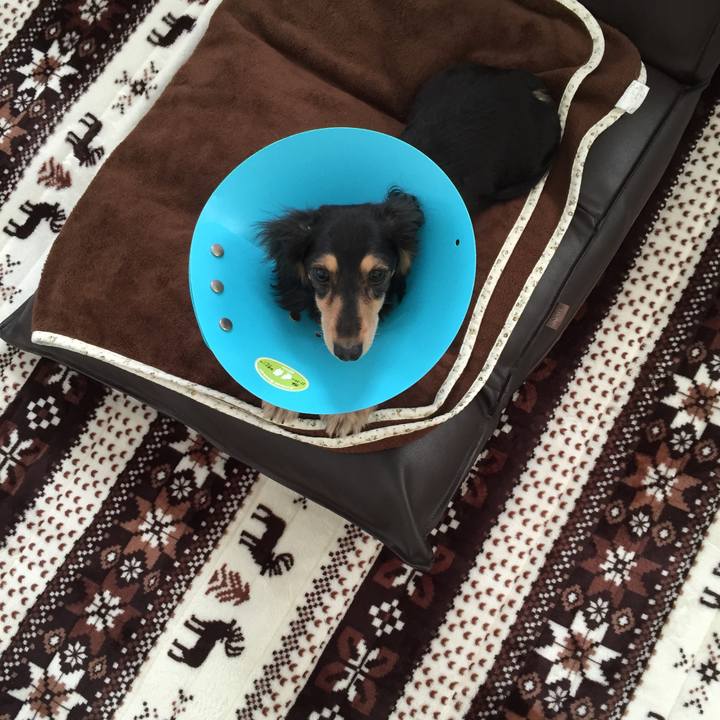 942adb76 52f2 493a a5c0 aae280930650