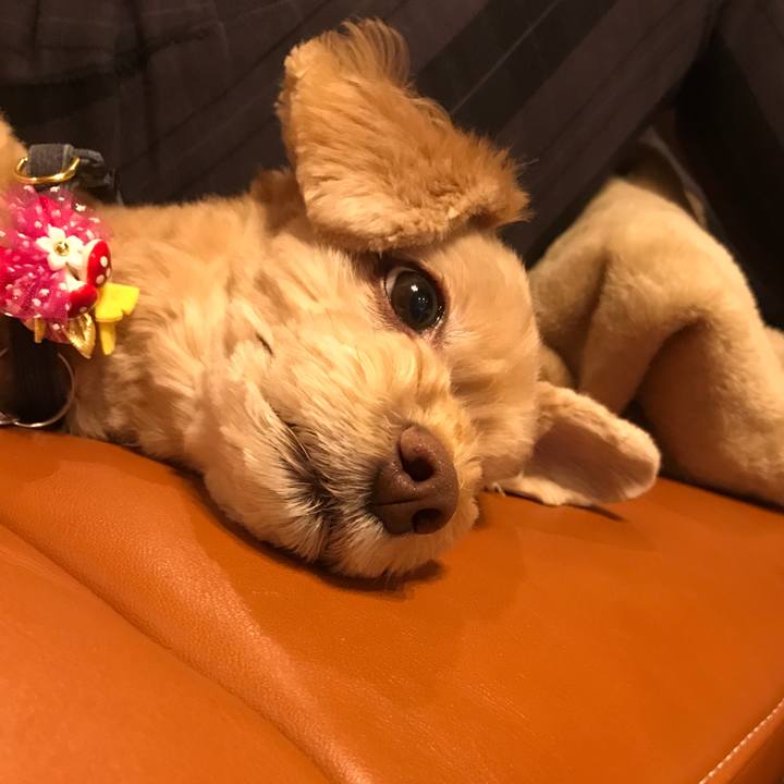 942b4b66 8a74 449a b883 d61370904768