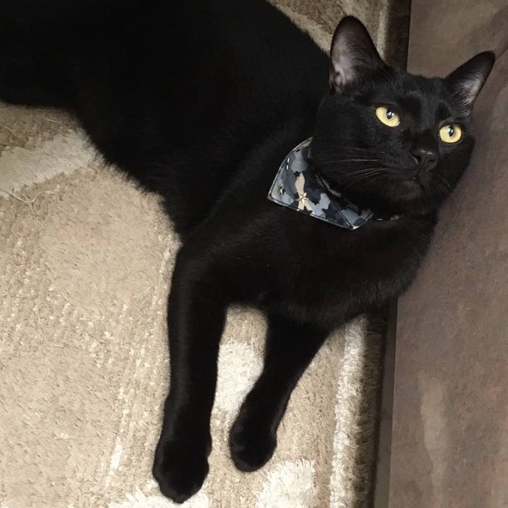 942b66ad 0844 4900 b99c 75a67b420082