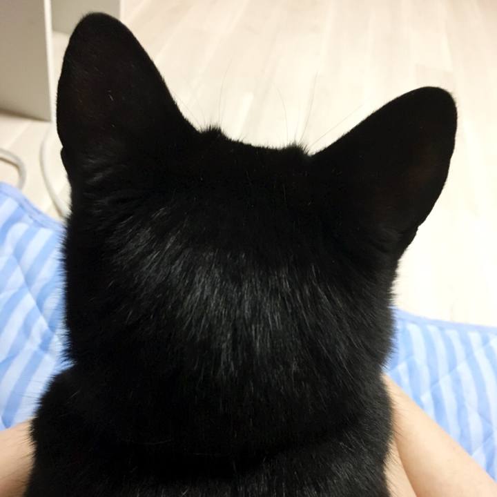 942b6aaa 1178 42a9 a94d 0dd4975626d2