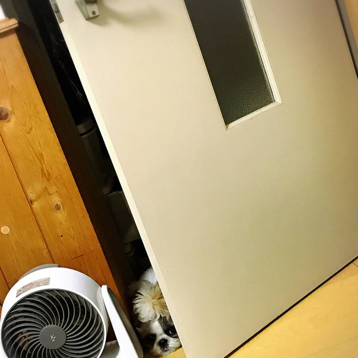 942b8f87 2651 47f3 8143 ff98d6151ce9