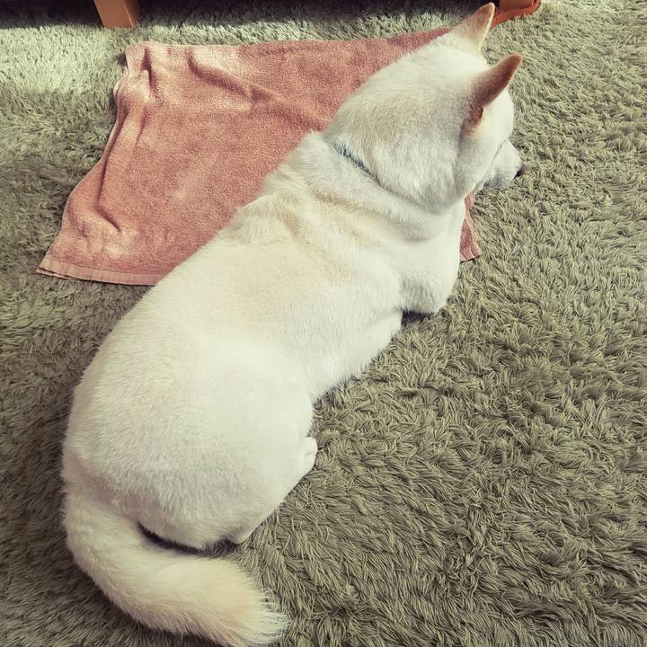 942b965b 7e71 460b af4e 058bda1b53b1