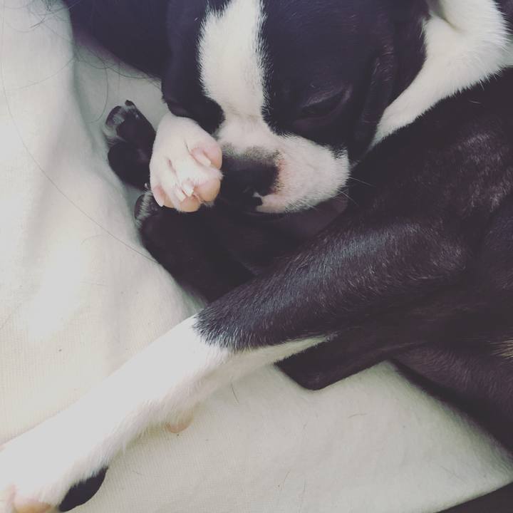 942c3dc6 3776 43ed 875d 663da20c41fd