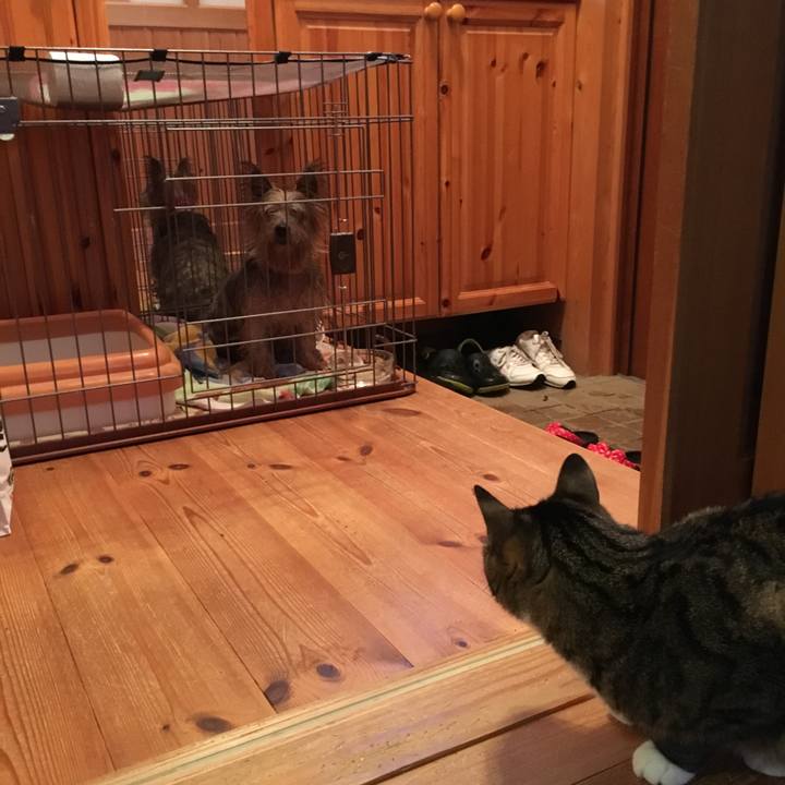 942c4b2b 3bc9 4bd6 900c e70a745774e4