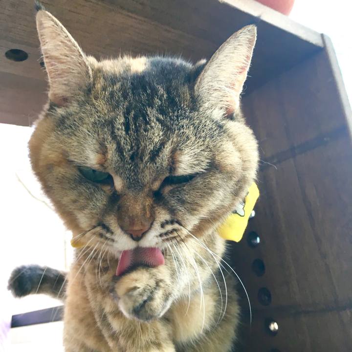 942c9383 1ba1 4f32 809f 8a8998bf7b3d