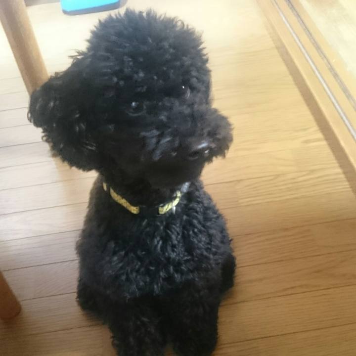 942cd4ca 9709 4266 afc7 e891544ba922