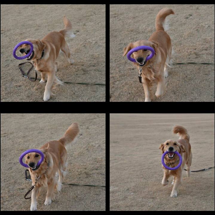 942e198e 6fb0 4350 a34b 0fe5502d5313