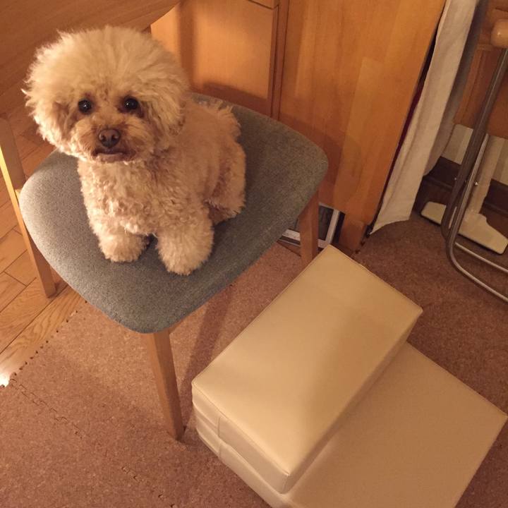 942f0e48 3c78 43ac a61e 4808914cafb0